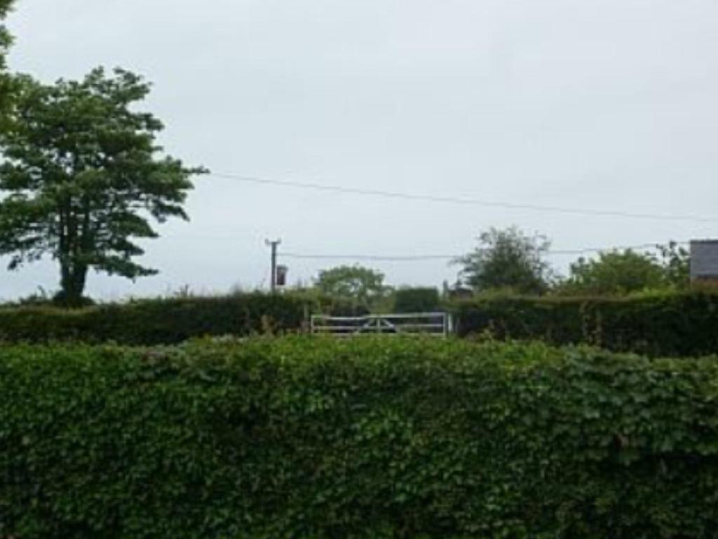 The Old Shop Villa Llandyfrydog Exterior photo